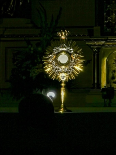 260098917 432165625276120 6092505790586557868 n